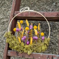 daiktų Džiovintos gėlės Kepurinės gėlės Violetinės šiaudinės gėlės H42cm