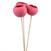 daiktų Džiovintų gėlių dekoratyviniai varpelio kaušeliai ant stiebo rausva 42cm 3 vnt