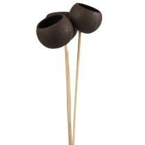 daiktų Džiovintų gėlių dekoratyvinės varpelio taurės ant kotelio juodos 44cm 3 vnt
