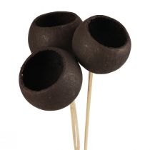 daiktų Džiovintų gėlių dekoratyvinės varpelio taurės ant kotelio juodos 44cm 3 vnt