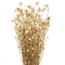 daiktų Džiovintos gėlės natūralus sausas erškėtis braškinis erškėtis 60cm 100g