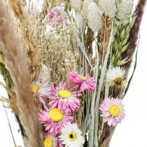 Džiovintų gėlių puokštė žolė Phalaris šiaudinės gėlės rožinės spalvos 60cm 110g