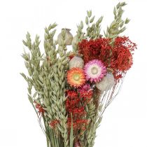 Džiovintų gėlių puokštė Pievų gėlių puokštė Raudona H50cm 150g