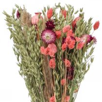 Džiovintų gėlių puokštė šiaudinių gėlių grūdų aguonų kapsulė Phalaris viksas 55cm