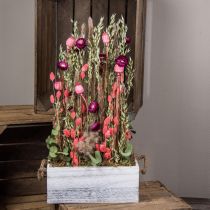 Džiovintų gėlių puokštė šiaudinių gėlių grūdų aguonų kapsulė Phalaris viksas 55cm
