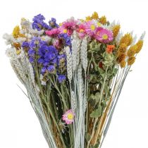 Džiovintų gėlių puokštė jūros levandos Phalaris grūdeliai 55cm