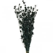 Džiovinti erškėčiai juodieji braškiniai erškėčiai džiovintos gėlės 100g