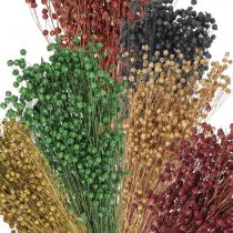 Dry Grass Deco Linai Įvairios spalvos H50cm 80g