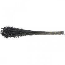 daiktų Džiovintos linų sėmenų dekoratyvinės žolės, juodos, 50-55 cm, 80 g