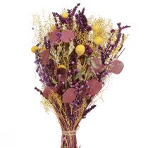 daiktų Sausa puokštė geltona violetinė žalia Craspedia eucalyptus 53cm 150g