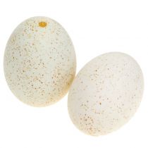Kalakutienos kiaušiniai natūralūs 6,5cm 10vnt