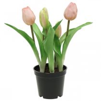 Tulpė rožinė, žalia vazonėlyje Dirbtinis vazoninis augalas dekoratyvinė tulpė H23cm