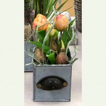 daiktų Tulpė vazonėlyje Rosè Real-Touch 22,5 cm