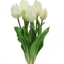 daiktų Dirbtinės tulpės baltas kremas Real Touch 38cm 7 vnt