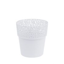 Sėjamoji plastikinė balta Ø11,5cm H12,5cm 1vnt
