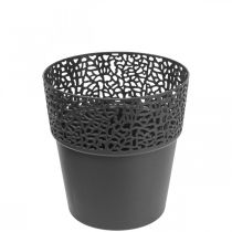 Sodinamosios plastikinis gėlių vazonas antracitas Ø11,5cm H12,5cm
