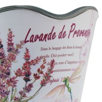 daiktų Sodintuvas plastikinis gėlių vazonas vasaros levandų Ø16,5cm H13,5cm