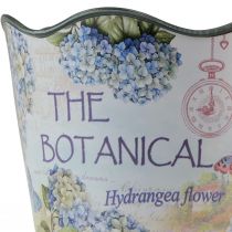 daiktų Sodinamosios plastikinės hortenzijos gėlių vazonas Ø13,5cm H12cm