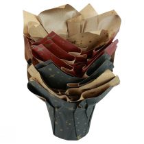 daiktų Popierinės sodinamosios žvaigždės raudonos/antracito/natūralios Ø9,5cm H10cm 9vnt.