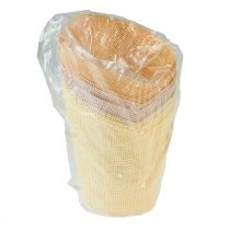 daiktų Sodinamojo popieriaus austa vanilė, oranžinė, rožinė Ø7cm H13cm 12 vnt.