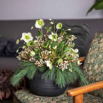 daiktų Sodintuvas Juodas keramikinis gėlių vazonas Ø23cm H19,5cm