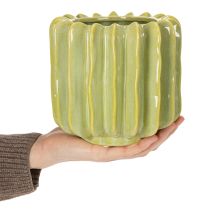 daiktų Kaktuso vazonas, idealus dubuo egzotiškiems namų akcentams, 16 cm