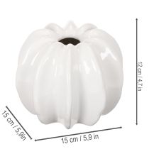 daiktų Moliūgų keraminė vaza, balta, namų dekoracija, 15 cm