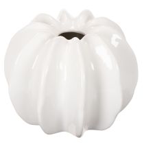 daiktų Dekoratyvinė moliūgų vaza, blizgi, rudens dekoracija svetainei, 19 cm