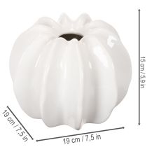 daiktų Dekoratyvinė moliūgų vaza, blizgi, rudens dekoracija svetainei, 19 cm
