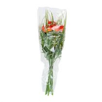 daiktų Pakavimo piltuvas A L66cm B35cm - 10cm 50 vnt