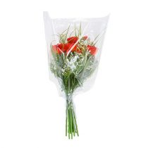 daiktų Pakavimo piltuvas P L70cm P60cm - 20cm 50 vnt.