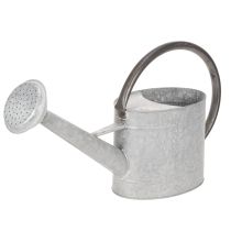 daiktų Vintažinė metalinė laistytuvė, sidabriškai pilka, stilinga sodo puošmena, gėlių vaza, ilgis 53 cm, aukštis 29 cm