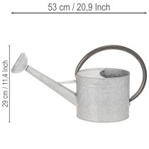daiktų Vintažinė metalinė laistytuvė, sidabriškai pilka, stilinga sodo puošmena, gėlių vaza, ilgis 53 cm, aukštis 29 cm
