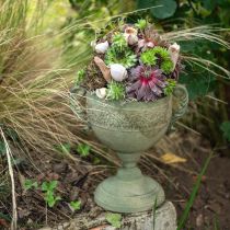 Vintage taurė Planter Metal Rustic taurė su rankenomis H26cm Ø19cm