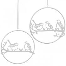Bird deco langų dekoravimo spyruoklė, metalinė balta Ø12cm 4vnt