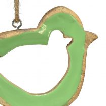 daiktų Paukščių apdaila medinė dekoratyvinė kabykla žalia natūrali 15,5x1,5x16cm