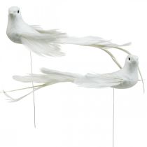 Balti balandžiai, vestuviniai, dekoratyviniai balandžiai, paukščiukai ant vielos H6cm 6vnt