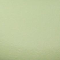 daiktų Orui atspari paukščių lesyklėlė su grandinine pakaba ir dekoratyviniais paukščiais, 47 cm