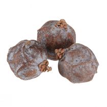 daiktų Kadagio kankorėžiai Sirijos kadagio natūralus Ø1,5–2,5cm 1kg