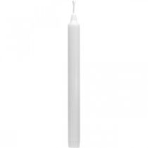 daiktų PURE vaško žvakės lazdelės žvakės baltos 250/23mm natūralus vaškas 4 vnt.