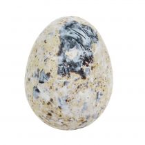 daiktų Putpelių kiaušiniai baltai marmuruoti 3,5cm - 4cm 50 vnt