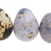 Putpelių kiaušinių mišrainė violetinė, violetinė, gamtos tušti kiaušiniai kaip dekoracija 3cm 65p