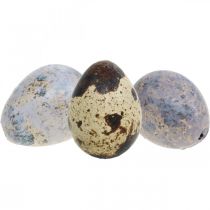 Putpelių kiaušinių mišrainė violetinė, violetinė, gamtos tušti kiaušiniai kaip dekoracija 3cm 65p