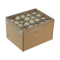 daiktų Putpelių kiaušinių puošmena Velykų išpūstų kiaušinių kremas 3cm 50 vnt