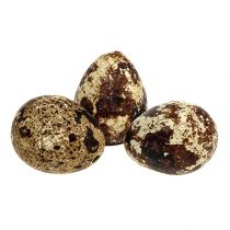 Putpelių kiaušiniai kaip dekoracija tušti natūralūs 50 vnt