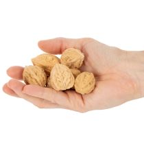 daiktų Graikiniai riešutai dekoravimui, natūralus produktas, 3-4 cm, 300 g