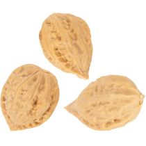 daiktų Graikiniai riešutai dekoravimui, natūralus produktas, 3-4 cm, 300 g
