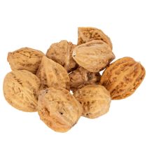 daiktų Graikiniai riešutai – natūralus produktas stalo dekoravimui ir „pasidaryk pats“ projektams. Natūralūs graikiniai riešutai, 4–5 cm, 300 g.