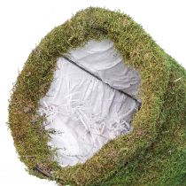 daiktų Eglutės samanų puošmena žalios spalvos natūrali Ø30cm H100cm