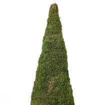 daiktų Eglutės samanų eglutės puošmena žalia natūrali Ø25cm H70cm